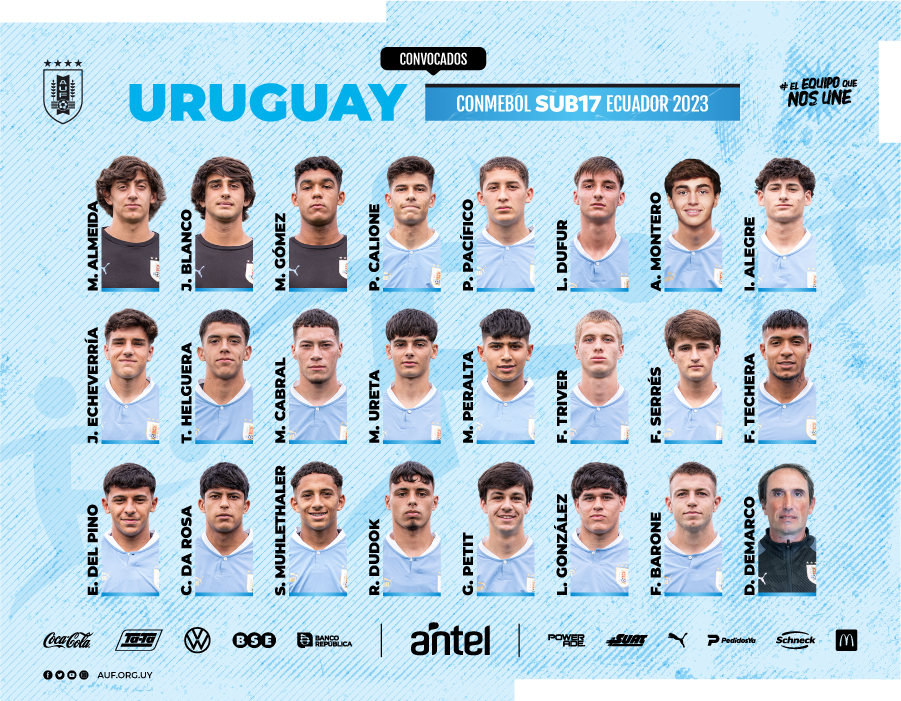 descarga